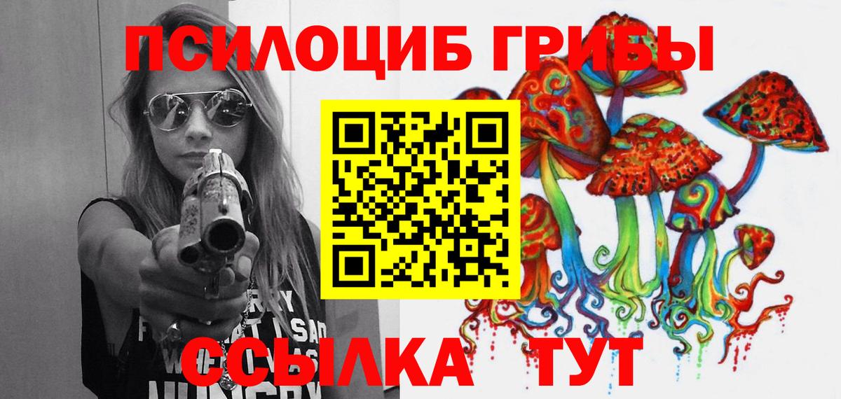Советская Гавань  Галлюциногенные грибы MAGIC MUSHROOMS  Вход с VPN 