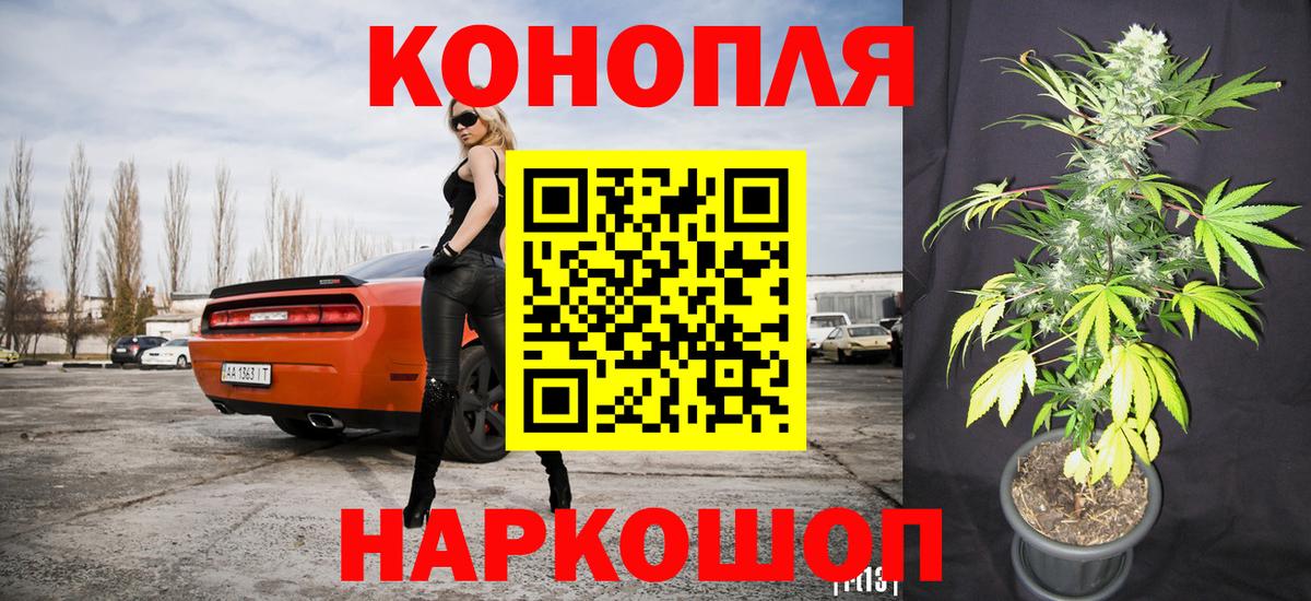 Шишки марихуана MAZAR  МАРИХУАНА планчик  Вход с VPN  Советская Гавань 